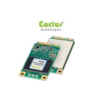 Cactus - mSATA Module 900 Serie - 16 GB - mSATA Module -  -45°C - 90°C