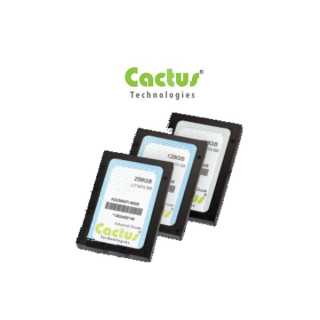 Cactus - 2,5" SATA II SSD 900 Serie - 32 GB - SATA FlashDrive SLC Standard -   0°C - 70°C