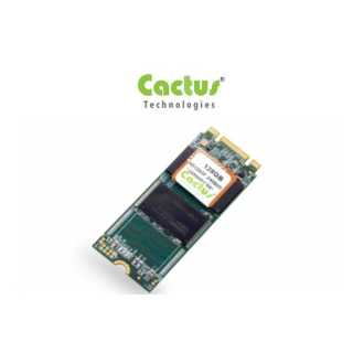 Cactus - PSLC M.2 2260 Module 245S Serie - 128 GB - M.2 SATA Module -   0°C - 70°C
