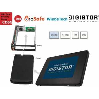 CRU - DIGISTOR DP10 Storage Module; Compatible with DP10 receiving frames, TAA Compliant; 256GB solid state storage