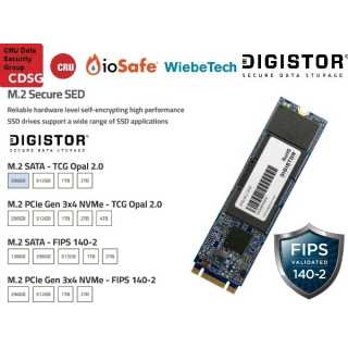 DIGISTOR - Citadel SSD for multidrive systems - FIPS 140-2 L2 - TAA compliant - with Pre-Boot Authorization - NVMe M.2 2280 - 512GB