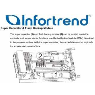 Infortrend - Replacement super capacitor module, for selected models.
