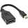 InLine - Kabel Mini DisplayPort Stecker zu DisplayPort Buchse, 4K2K, schwarz, 0,15m