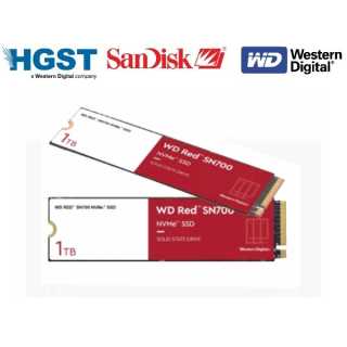 WD - Red SN700 WDS200T1R0C - SSD - 2 TB - intern - M.2 2280 - PCIe 3.0 x4 (NVMe)