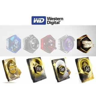 WD - Gold PW221KRYZ - Festplatte - 22 TB - intern - 3.5" (8.9 cm) - SATA 6Gb/s - 7200 rpm - Puffer: 256 MB