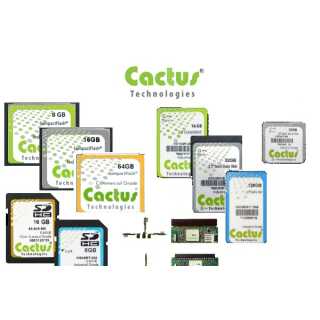 Cactus - M.2 PCIE NMVE - 270 Series - 256 GB - Industrial TLC 3D NAND PCIE M.2-270P - C-Temp (0-70C) with heat spreader - 2242FF (22mm x 42mm) - add 0.4mm to the thickness