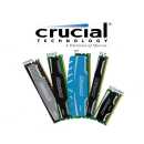 Crucial - Vengeance - DDR5 - Kit - 64 GB: 2 x 32 GB SO...