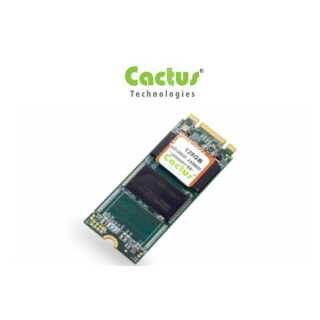 Cactus - M.2 PCIE NMVE - 270 Series - 256 GB - Industrial TLC 3D NAND PCIE M.2-270P - C-Temp (0-70C) with heat spreader - 2242FF (22mm x 42mm) - add 0.4mm to the thickness