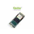 Cactus - M.2 PCIE NMVE - 270 Series - 256 GB - Industrial...