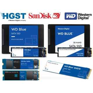 WD - Blue SA510 WDS200T3B0A - SSD - 2 TB - intern - 2.5" (6.4 cm) - SATA 6Gb/s