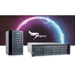 Promise - Thunderbolt Target HBA.BOX.PegasusPro R16