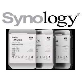 Synology - HAS5310-12T - Festplatte - 12 TB - intern - 3.5" (8.9 cm) SAS 12Gb/s 7200 rpm Puffer: 512 MB