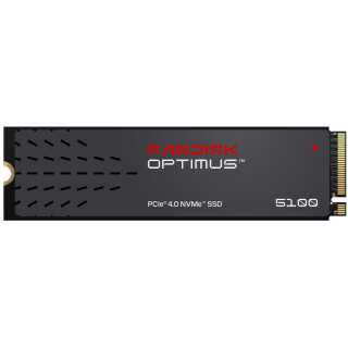SanDisk - Optimus 5100 - SSD - 4 TB - intern - M.2 2280 - PCIe 4.0 x4 (NVMe) M.2 2280 / PCIe Gen4 / 5150MB/s read / 4850MB/s write