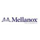 Mellanox - NVIDIA ConnectX-5 VPI - Netzwerkadapter - PCIe...